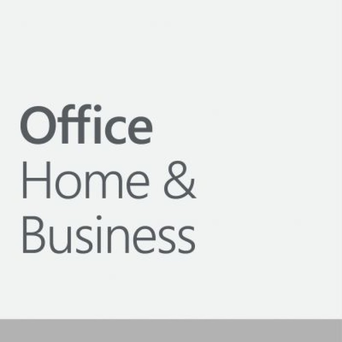 MICROSOFT EP2-06669 OFFICE HOME AND BUSINESS 2024 ITALIAN EU