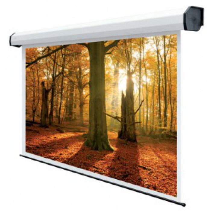 SOPAR SOPAR5502 500?282 16:9 SCHERMO PROIEZIONE ELECTRIC RUBIN